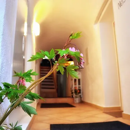 Altstadthaus Appartement