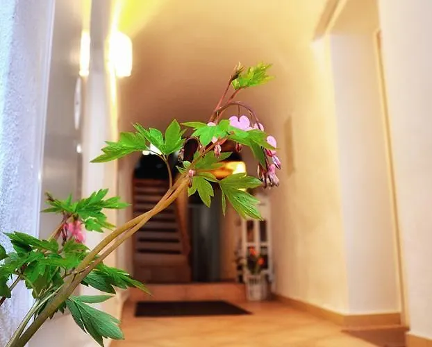 Altstadthaus Apartment